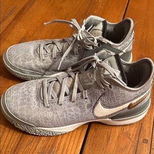Men’s size 9.5 Nike NXXT Gen 'Wolf light grey LeBron basketball shoes